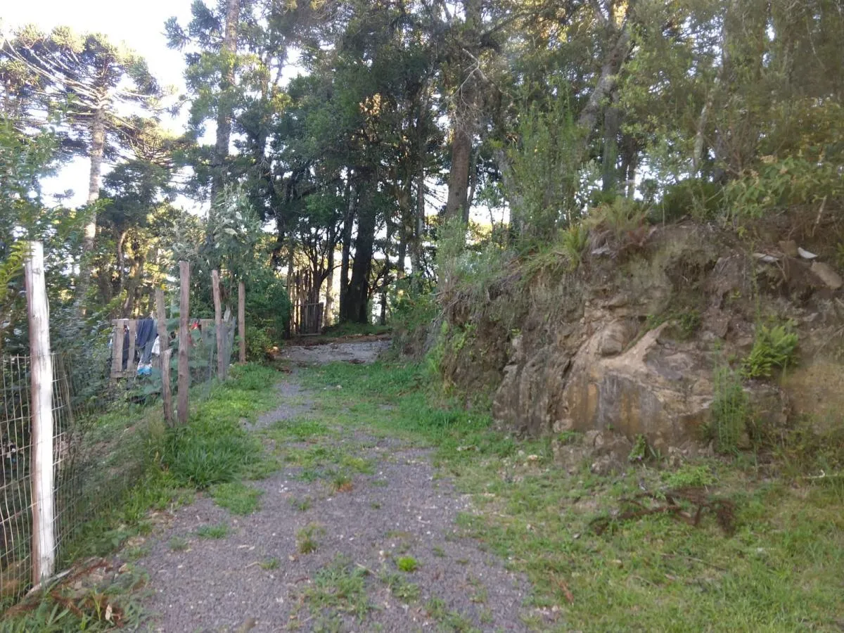 Imagem Terreno para Venda em São Francisco de Paula / RS