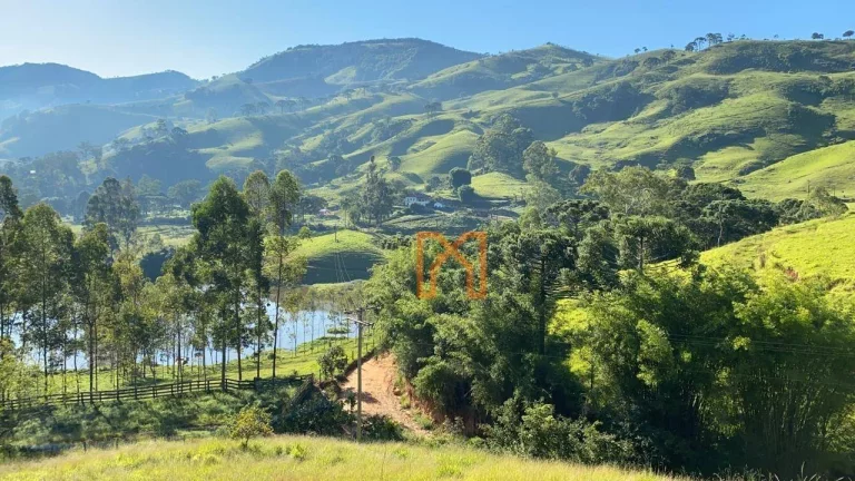 Imagem Fazenda com 4 dormitórios à venda de 303 hectares - Zona Rural - Delfim Moreira/MG