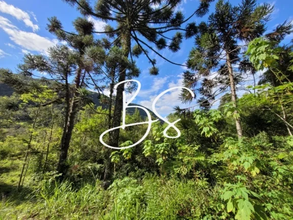 SITIO RESIDENCIAL em TRÊS COROAS - RS, Linha 28
