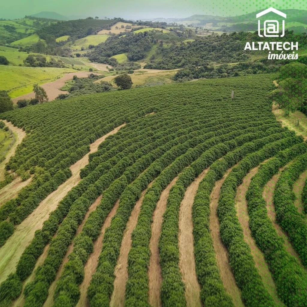 Imagem Fazenda 0 ha à venda em Roseira, Bandeira do Sul