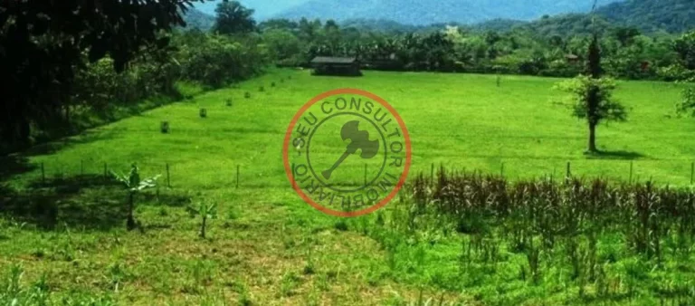 Imagem FAZENDA COM 55 MIL METROS DE AREA UTIL EM SAO SEBASTIAO