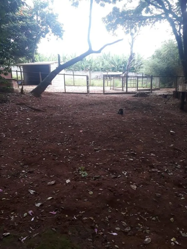 Imagem Venda de Sítio em Igarapé/MG / com 8.000 m²