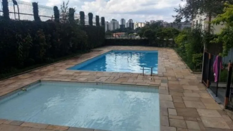 Imagem Apartamento com 2 Quartos à Venda ou Locação, 55 m² em Vila Campestre - São Paulo