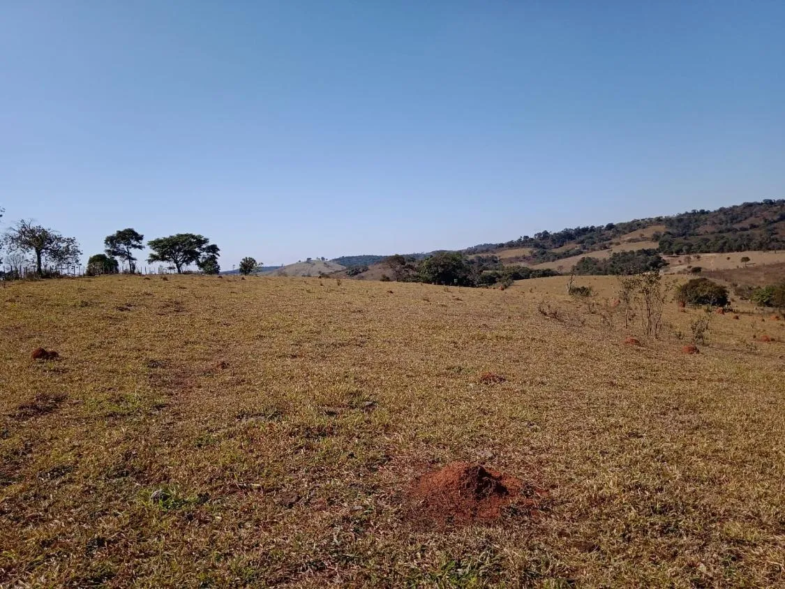 Imagem Vendo Excelente Fazenda em Bonfim/MG 90 hectares de terra