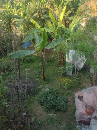 Imagem Casa a venda em Itaquaquecetuba