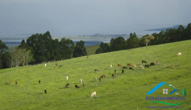 Imagem Fazenda Espetacular às Margens da Represa de Furnas - Oportunidade Única!