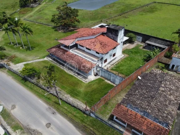 Imagem ÁREA Á VENDA EM NISIA FLORESTA