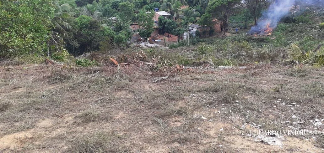 Imagem Terreno 6.400m² à venda - no Morro de São Paulo