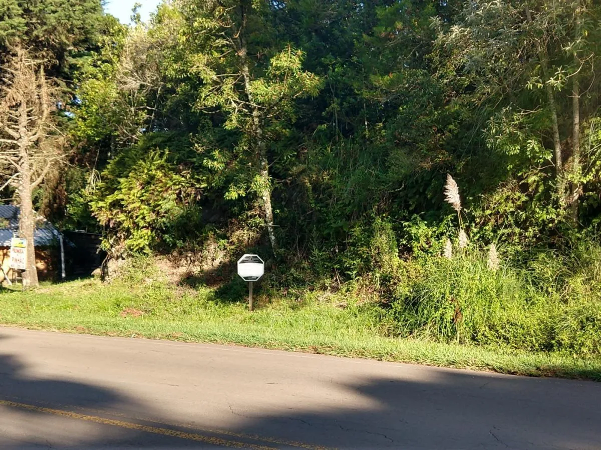 Imagem Terreno para Venda em São Francisco de Paula / RS