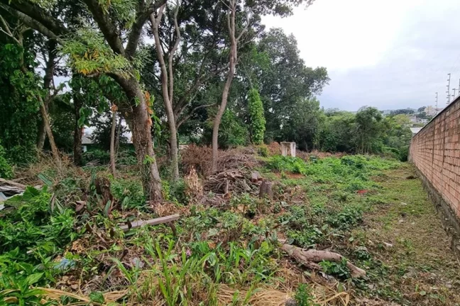 Imagem NQ 305 Lote 610371008-98 - Terreno à venda no bairro Nonoai - Porto Alegre/RS