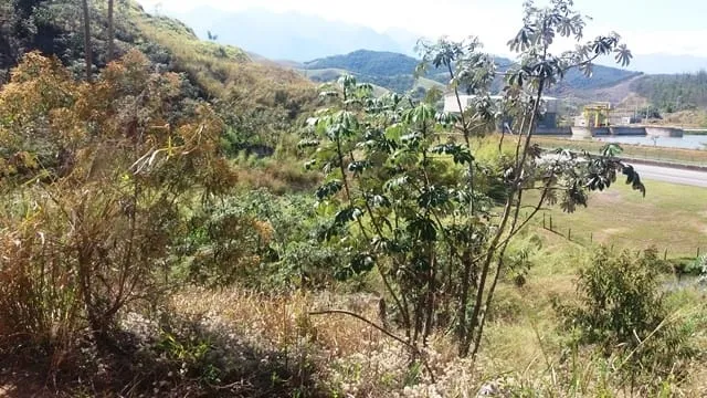Foto do imóvel Chácara à venda Zona Rural, Lavrinhas - SP