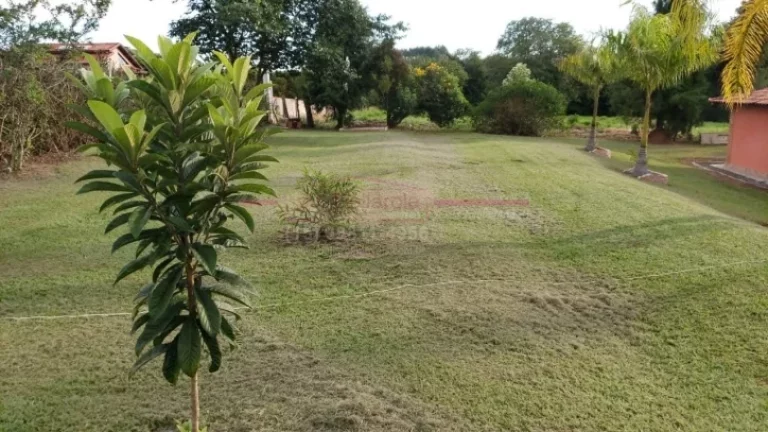 Imagem Chácara formada para venda com 9 mil metros