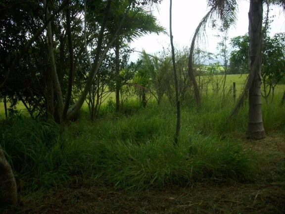 Imagem Chácara com 1000 m² à venda em Porangaba.