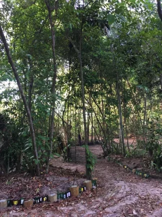 Imagem EcoCamping