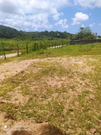 Imagem Terreno para Venda em Recife, Várzea