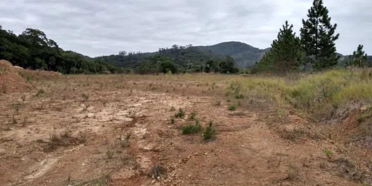 Imagem Terreno - Área industrial, para Venda em Camboriú/SC