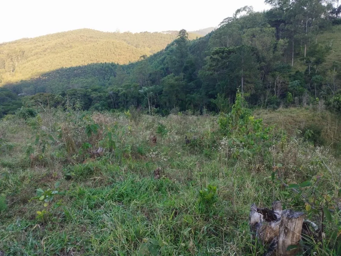 Imagem 4 Alqueires à Venda em Piracaia ? Ótima Localização!
