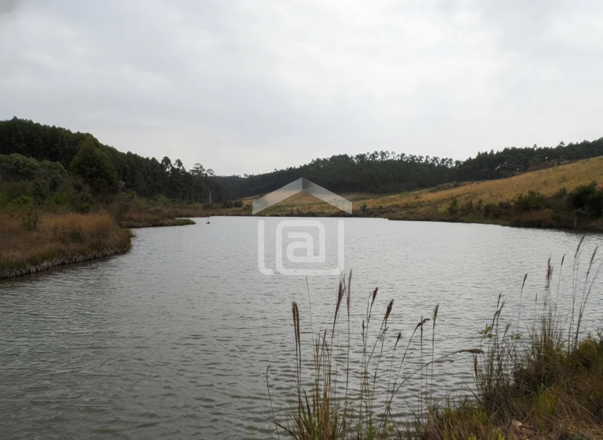 Imagem Fazenda à venda em Taquari, Caldas