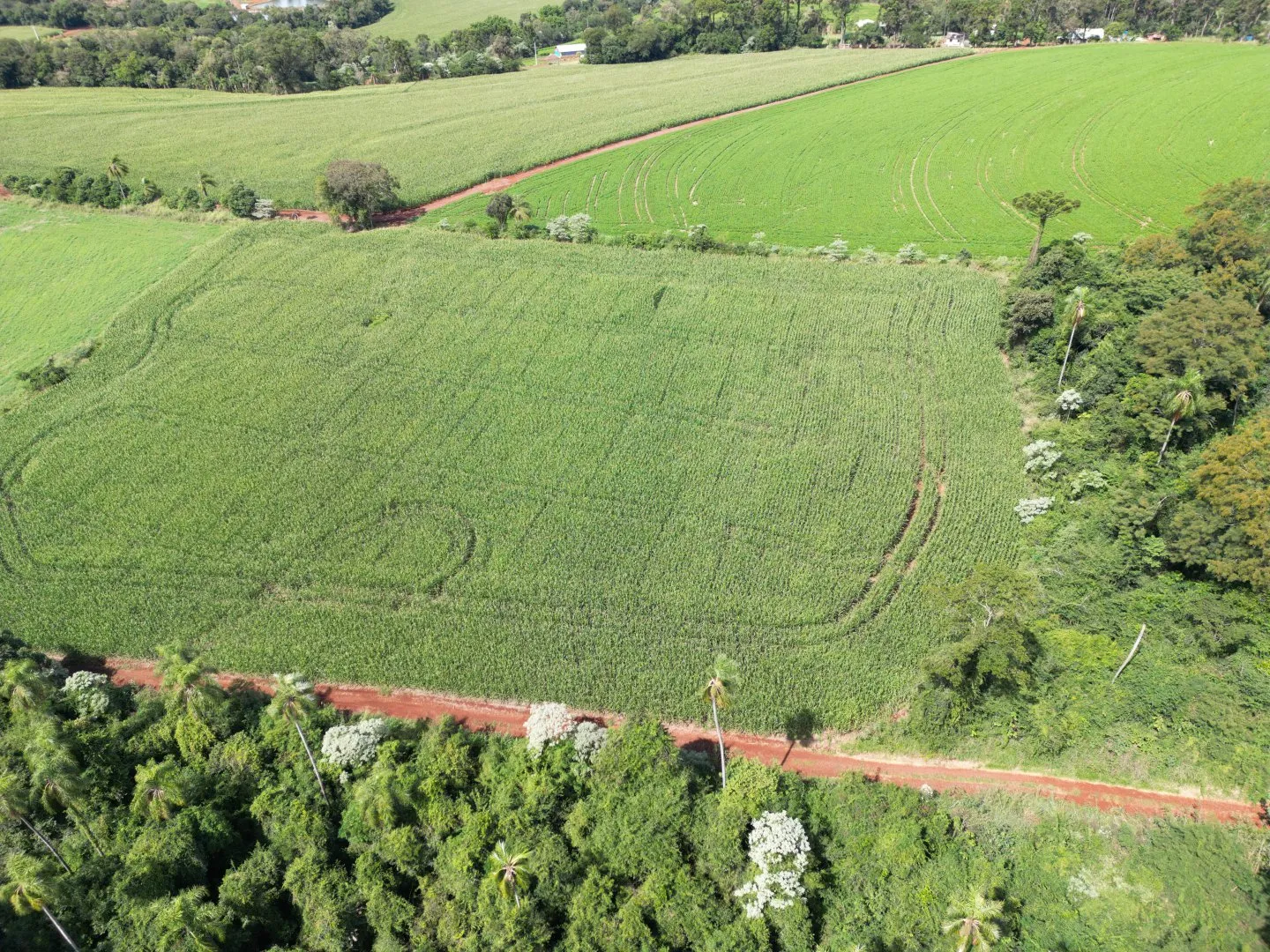 Imagem Chacara a venda em Rio do Salto Cascavel