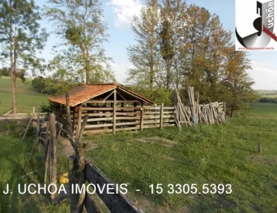 Imagem OPORTUNIDADE ÚNICA! CHÁCARA EM PEREIRAS ESPERA POR VOCÊ!