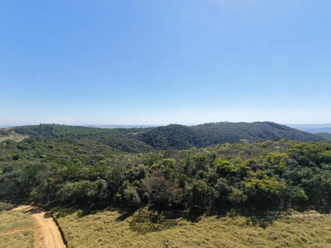 Imagem EXCLUSIVIDADE | FAZENDA a venda - CLÁUDIO/MG -90 hectares de área total