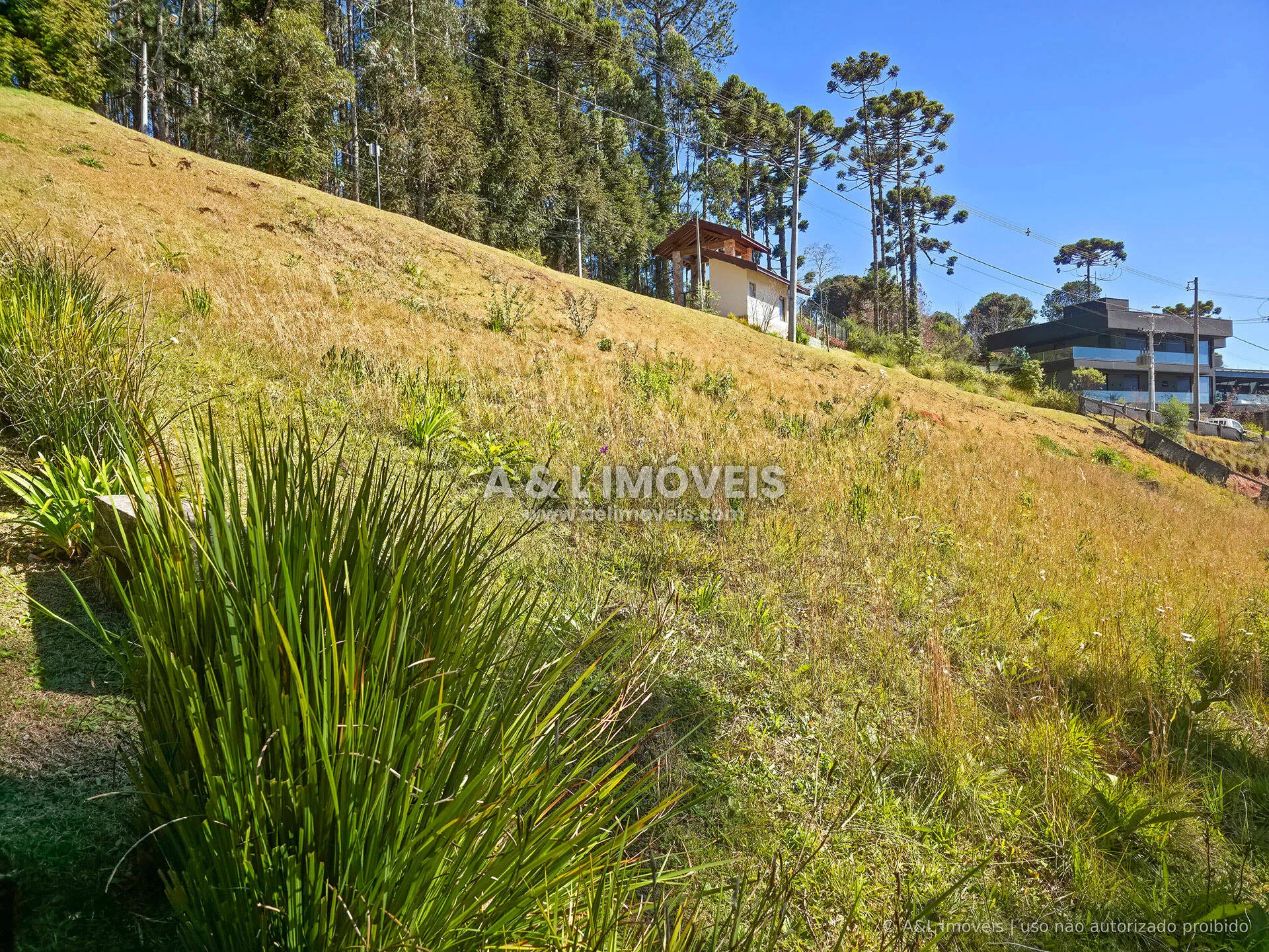 Imagem Lote à venda no Reserva Figueiredo em Campos do Jordão | 1.146,58 m²