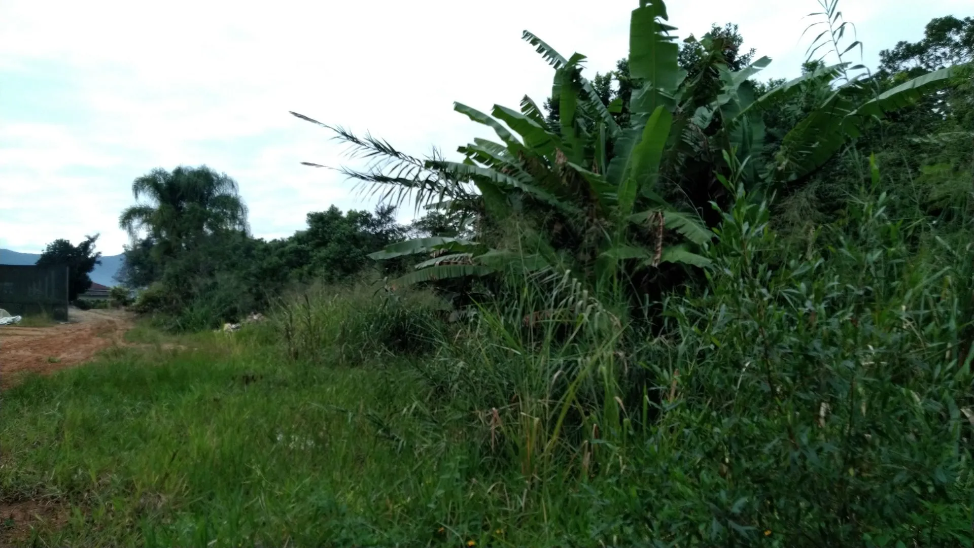 Imagem Sítio à venda com , 26.000m² em Tijuquinhas (Guaporanga) Biguaçu