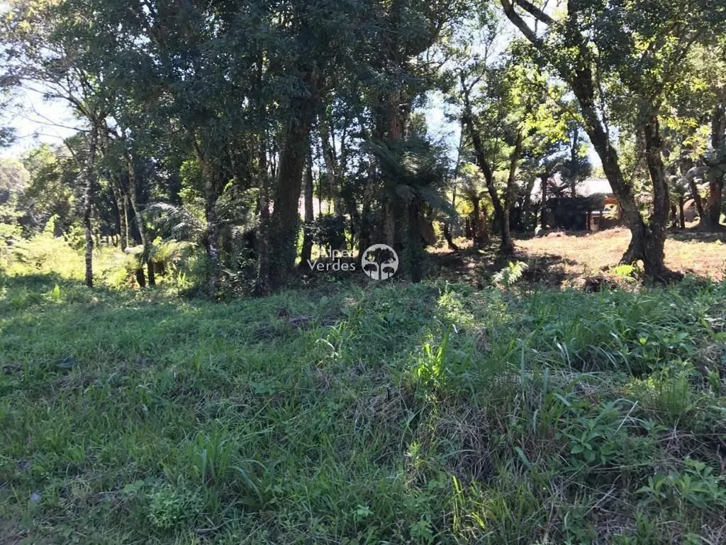 Imagem Vende-se Terreno em Canela a cerca de 3 minutos da Catedral de Pedra