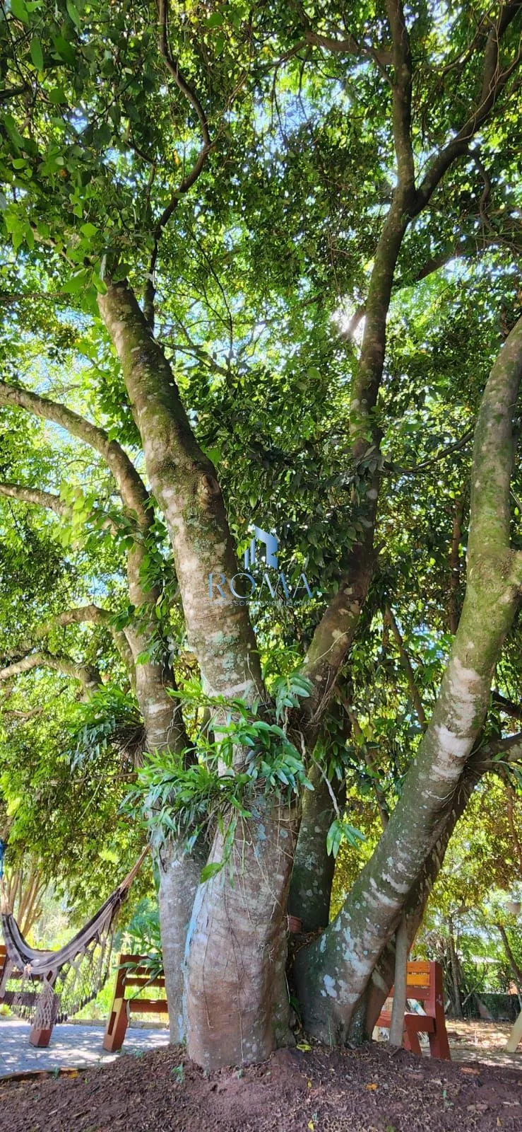 Imagem Sítio 3 dormitórios à venda Pains Santa Maria/RS