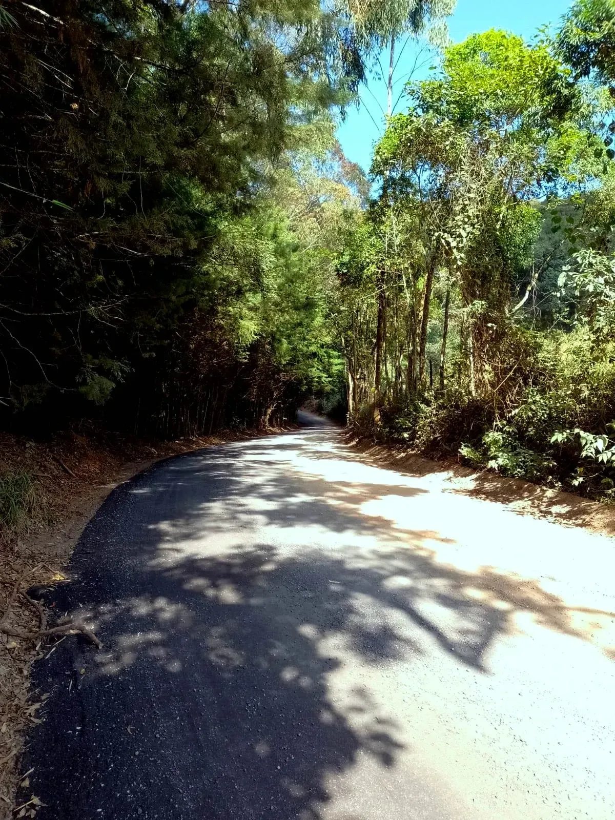 Imagem Chácara à Venda, 5.000 m² em zona rural - Poços de Caldas