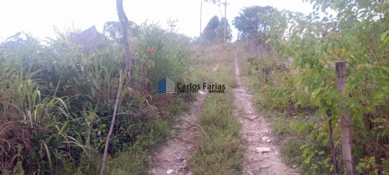 Imagem Fazenda à Venda, 20000 metros em Área Rural de São Sebastião - Brasília