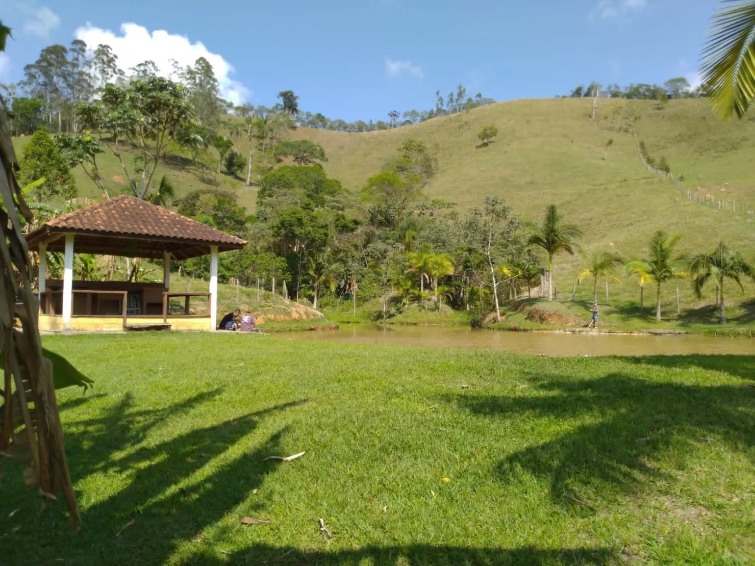 Imagem Chácara à venda 3 Quartos, 31573.76M², Centro, Monteiro Lobato - SP