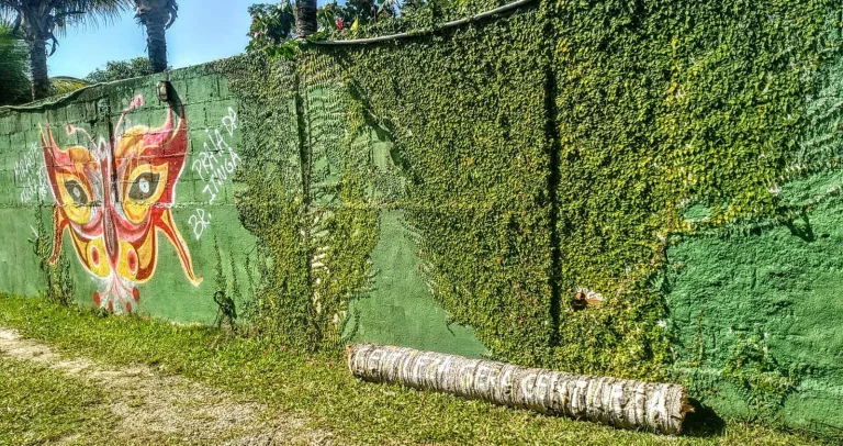 Imagem CASA RESIDENCIAL em ANGRA DOS REIS - RJ, BRACUÍ (CUNHAMBEBE)