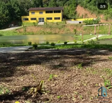 Imagem Chácara c/casa, área de: 20.000 mil m², asfalto na frente, no Palmitalzinho em Quatro Barras Pr