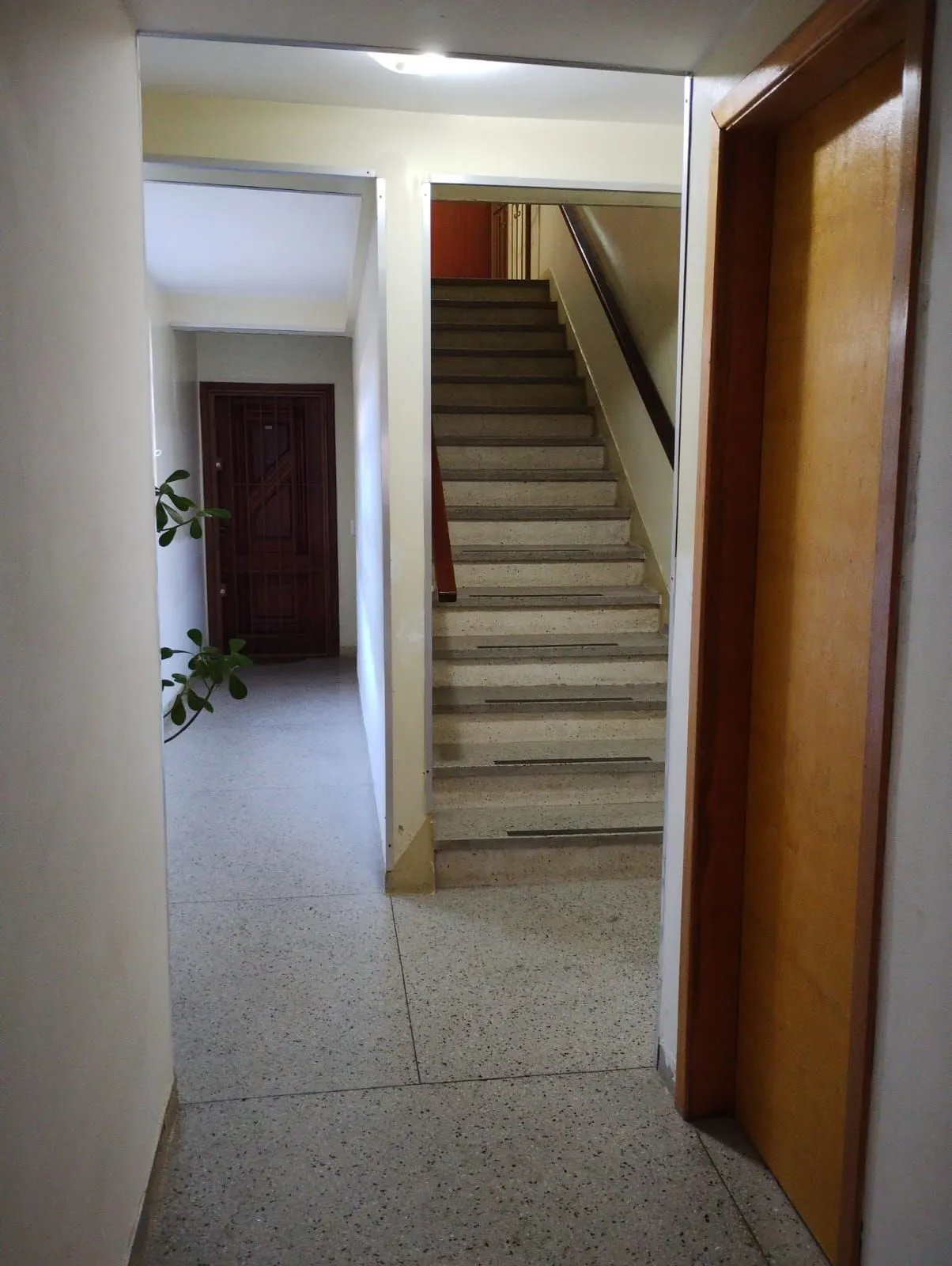 Imagem Apartamento em Menino Deus
