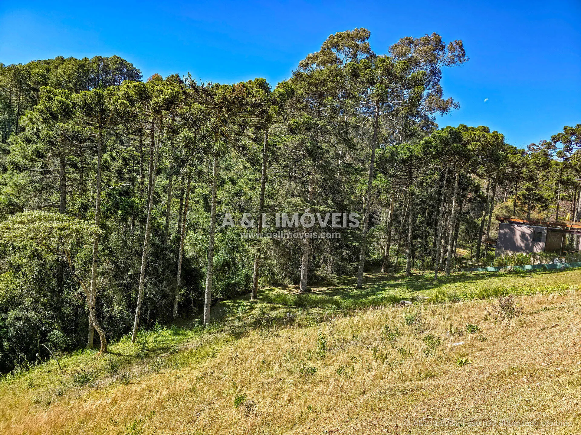 Imagem Lote à venda no Reserva Figueiredo em Campos do Jordão | 1.146,58 m²