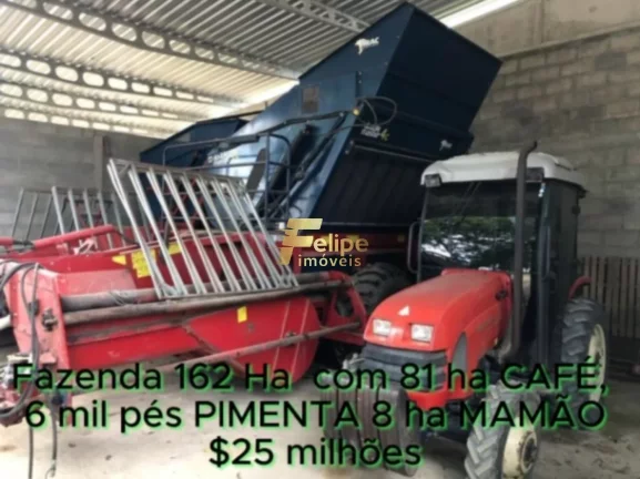 Imagem FAZENDA DE ALTO PADRÃO EM EUNÁPOLIS/BA 162 HECTARES DOCUMENTADOS 81 há de CAFÉ.