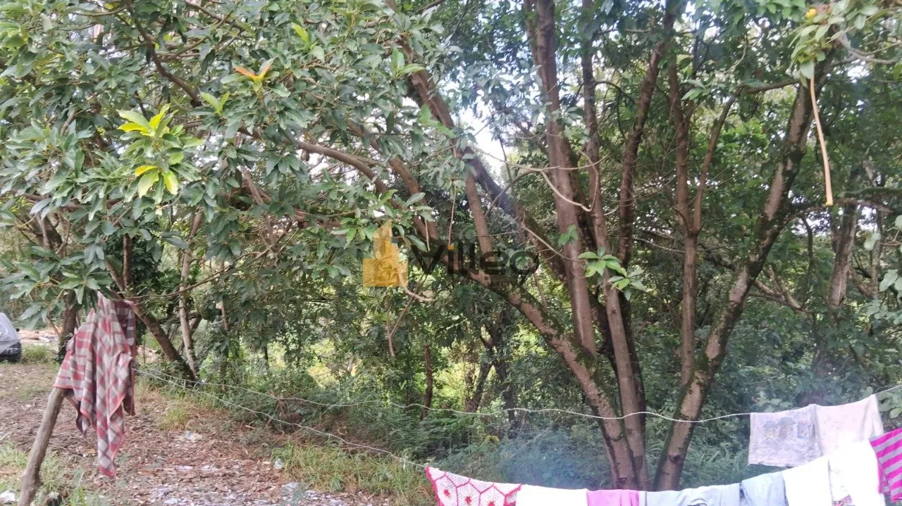 Imagem Venha conhecer este excelente terreno à venda no Jardim Botucatu, em Sorocaba. Com 132 m² de área...