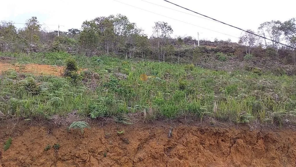 Imagem Terreno em Condomínio para Venda em Teresópolis / RJ no bairro Albuquerque
