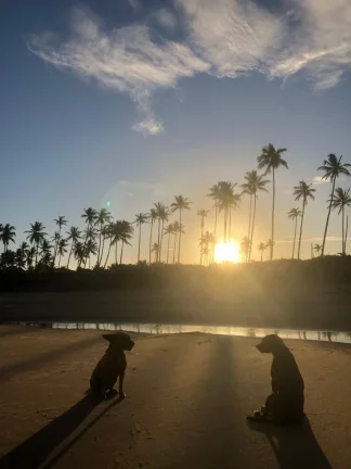 Imagem Casa fantástica na Ponta da Baleia