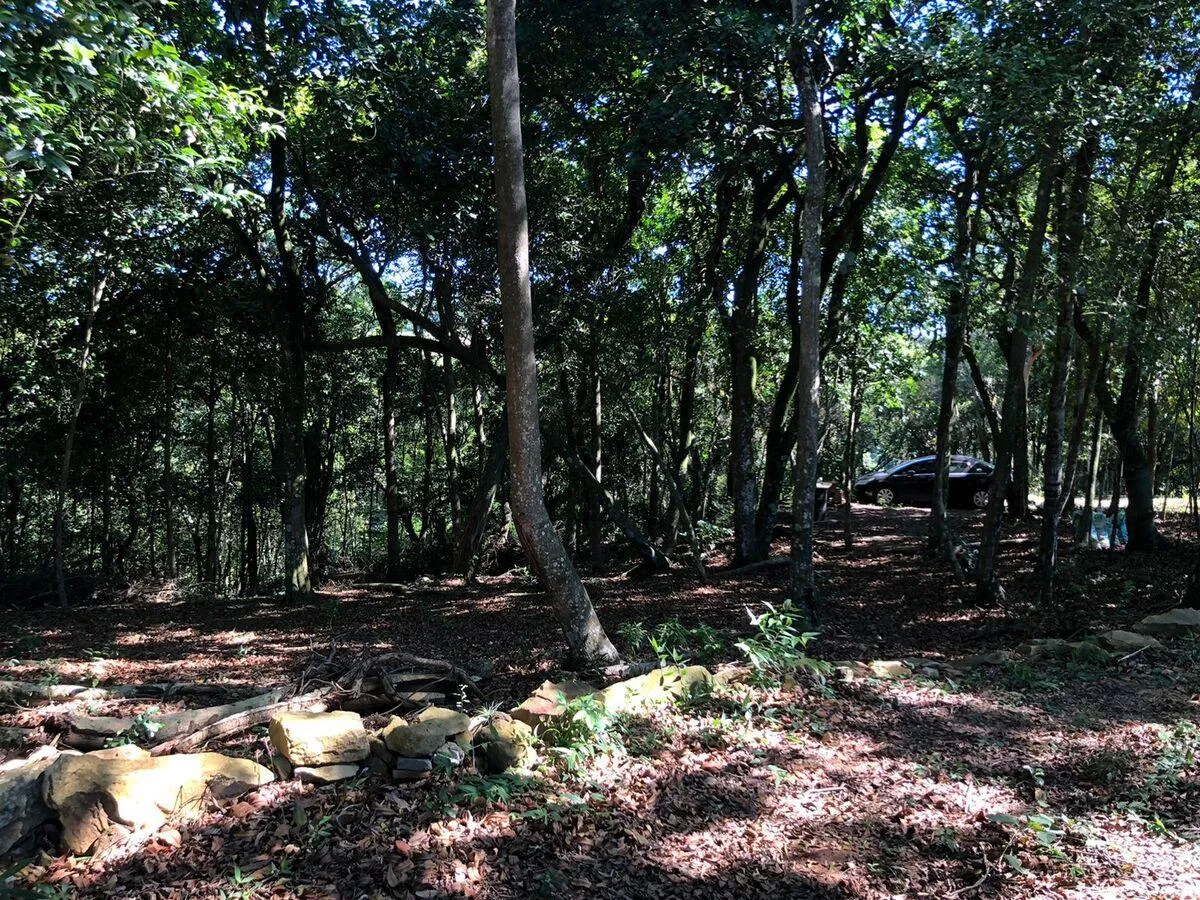 Imagem Chácara para venda , localizado em São João do Deserto, Lomba Grande em Novo Hamburgo/RS.