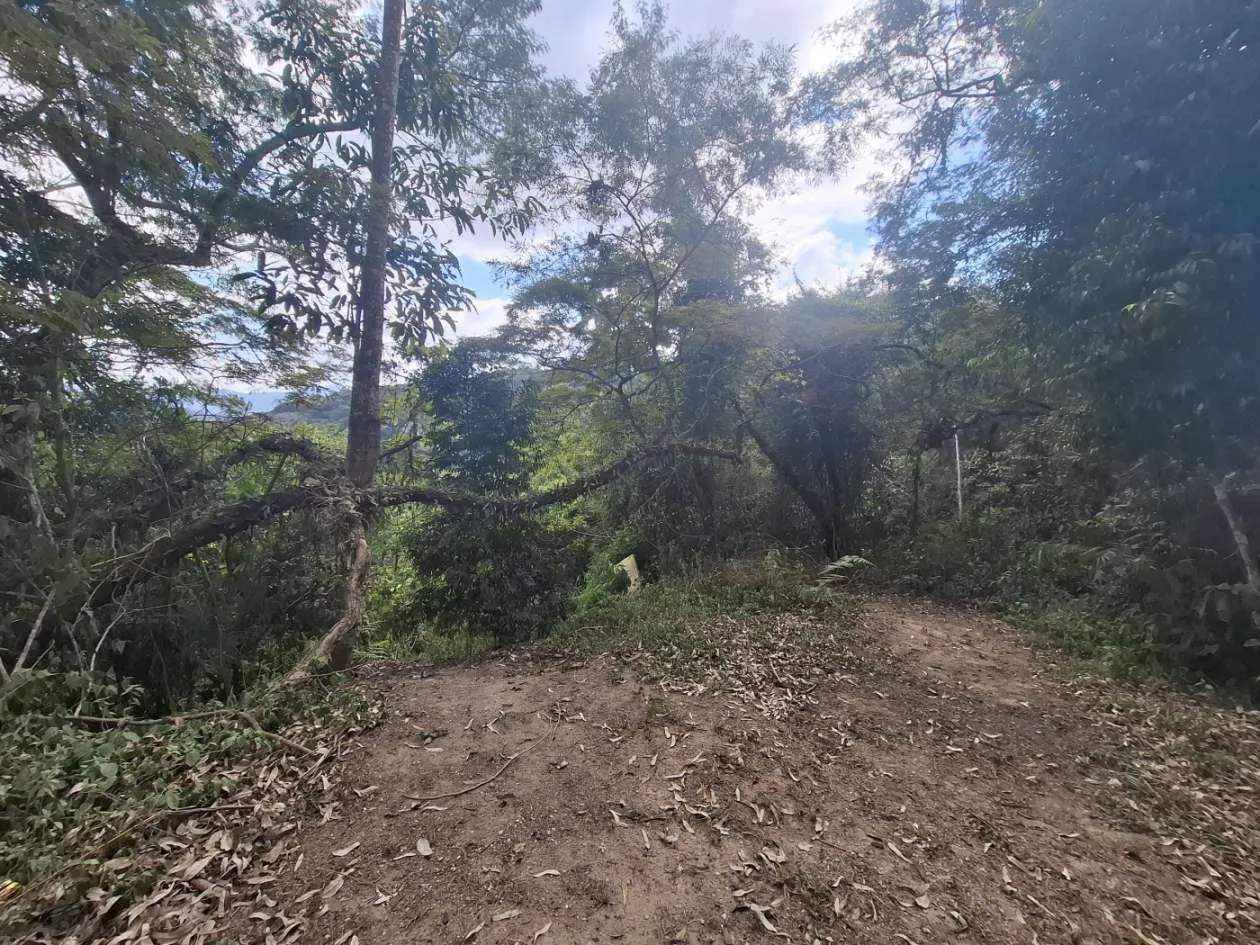 Imagem Terreno para Venda em Teresópolis / RJ no bairro Fazenda Suiça