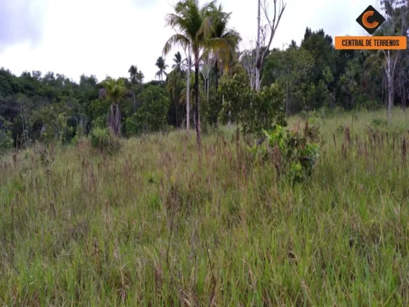 Imagem TERRENO NA VIA PARAFUSO