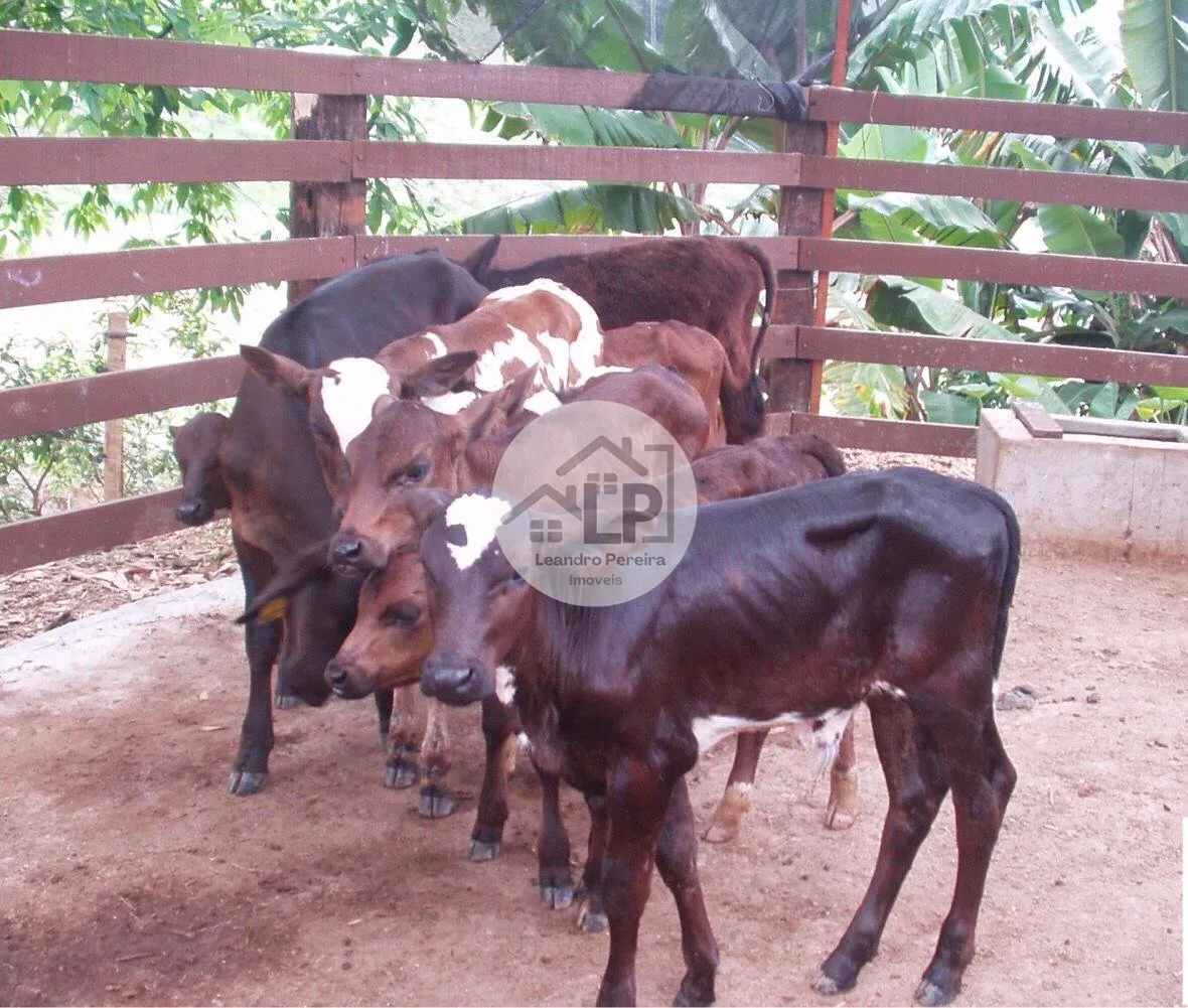Imagem Fazenda/Sítios/Chácaras de 480000m² no bairro Carmo, em Carmo