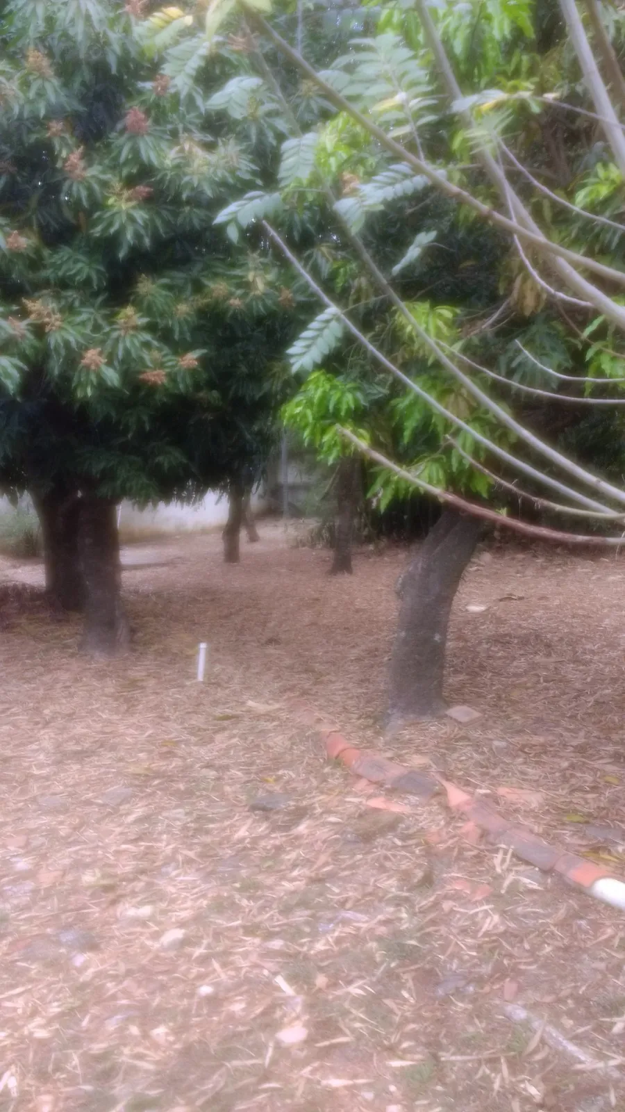 Imagem Oportunidade Única: Terreno na Zona Norte de Sorocaba - Ideal para Empreendimentos Inovadores