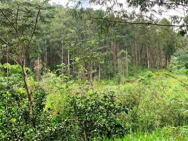 Imagem Chácara à venda 994000M², Barreiro, Aparecida - SP