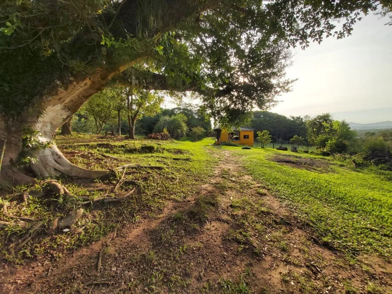 Imagem Sitio no bairro Lomba do Pinheiro