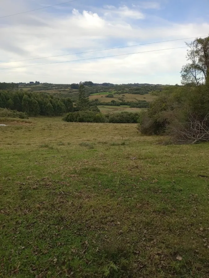 Imagem Sítio para Venda em Canguçu, zona rural, 3 dormitórios, 1 banheiro, 3 vagas