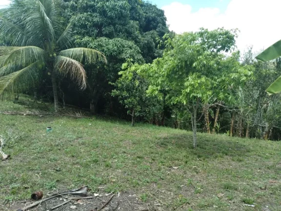 Imagem Terreno de 2.800m² à venda, localizado em Chã de Onça, Paudalho - Pernambuco.