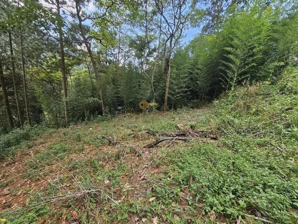 Imagem Terreno para Venda em Teresópolis / RJ no bairro Cascata dos Amores